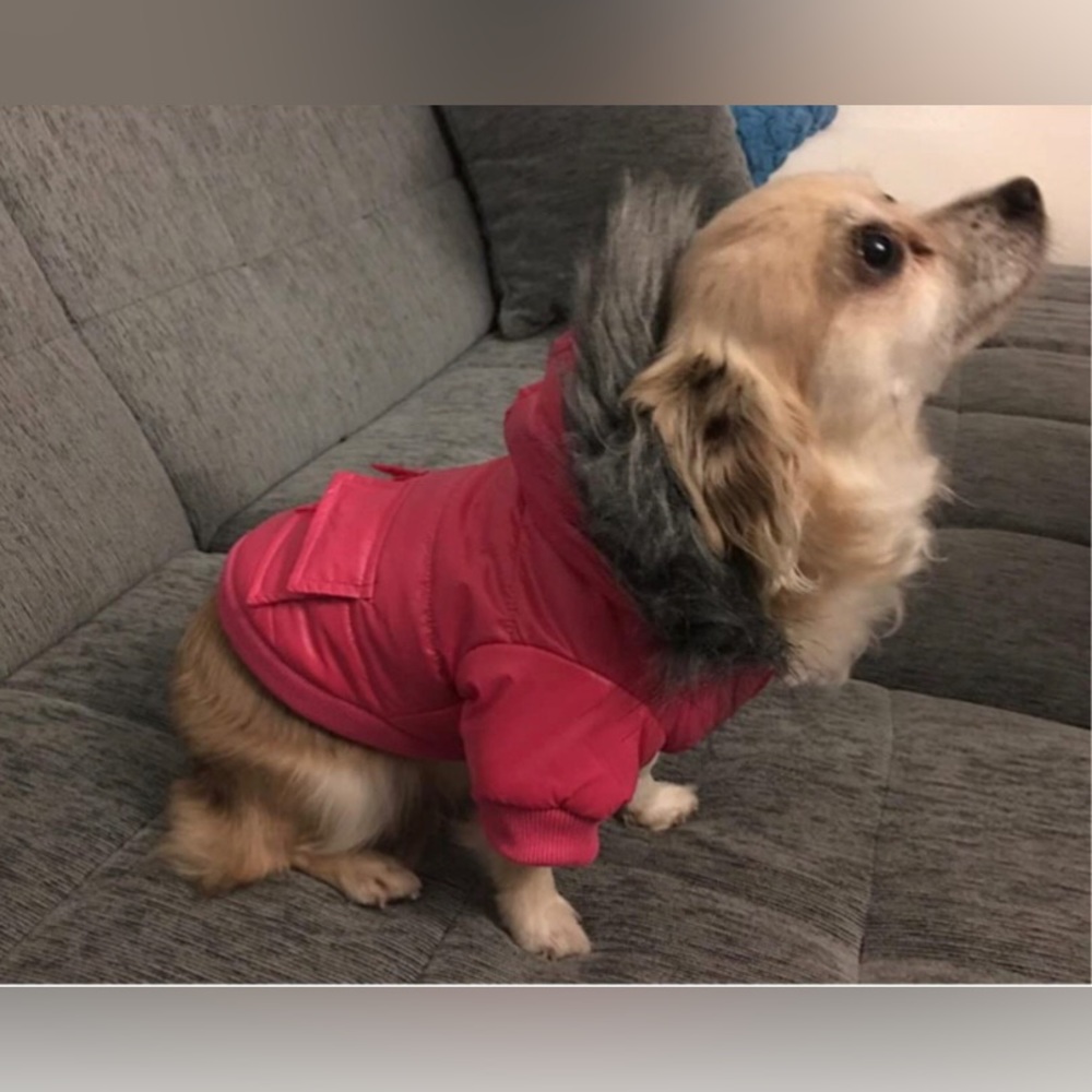 “Pink Dog Puffer Jacket” Fur Hood Warm Winter Wind/Waterproof Cat Pet Lined Coat - Picture 6 of 9